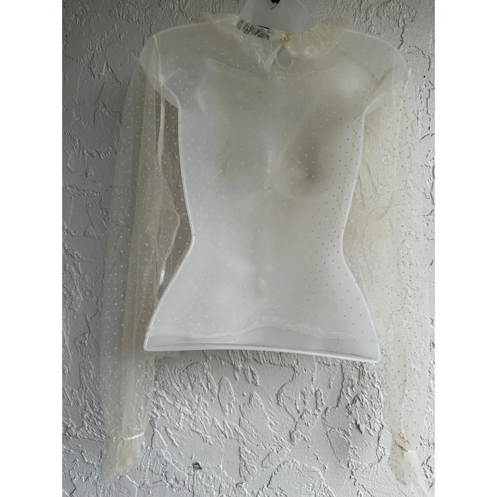 Zara Cream Swiss Dot Mesh Ruffle Blouse Sheer High Neck Long Sleeve Small